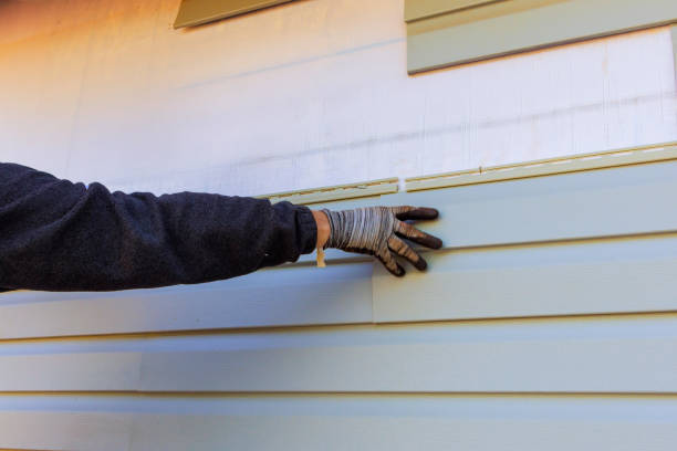 Best Insulated Siding Installation  in Sanborn, IA